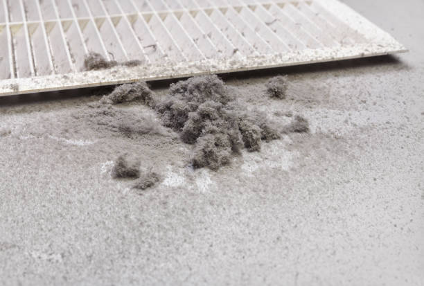 Air Duct Mold Removal in Kendale Lakes, FL