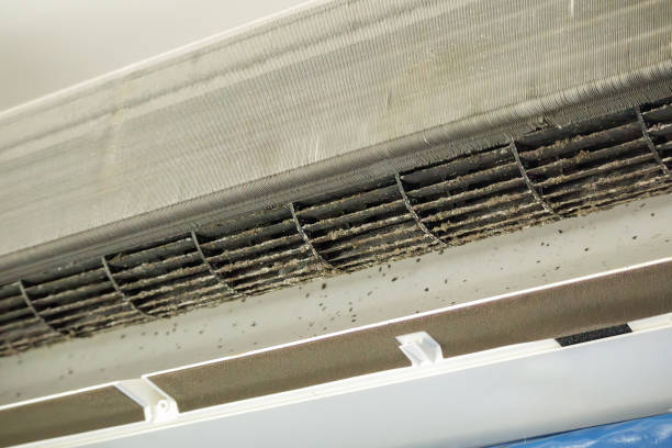 Reliable Kendale Lakes, FL Airduct Cleaning Solutions